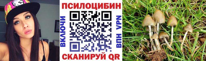 Купить закладки  Дзержинский  Галлюциногенные грибы прущие грибы 