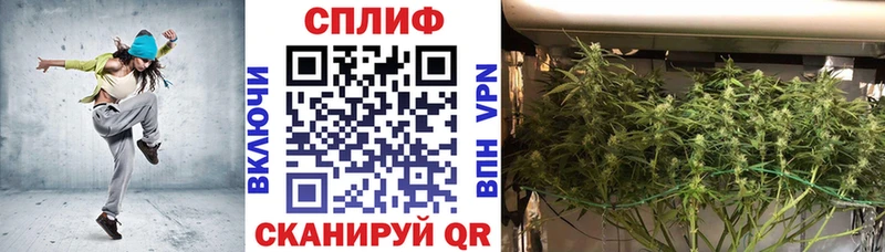 Купить  Дзержинский  Бошки марихуана VHQ 